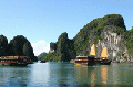 VỊNH HẠ LONG - RỒNG XUỐNG TRẦN